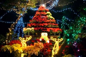 How is Christmas celebrated in Japan?