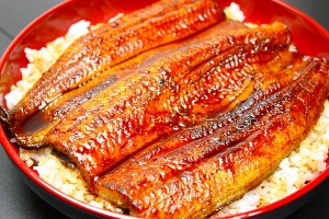 A serving of delicious eel. Or is it catfish?