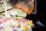 Japanese cat Fukumaru dies.